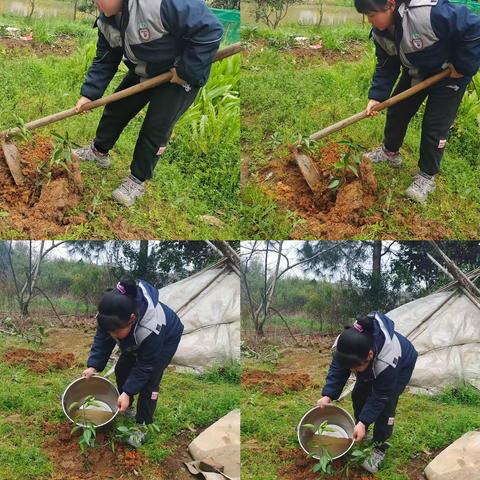 湘潭子敬学校 ---2210班植树节活动