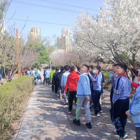 “春暖花开，奔你而来”——翠林蓝湾小学三二班赞春研学活动纪实。