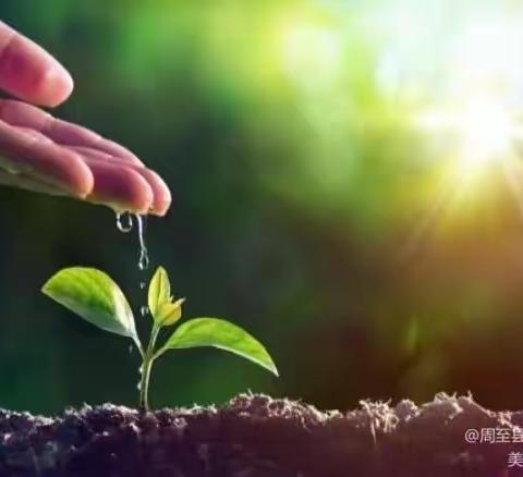 【周至教育】春风化雨暖人心，送教上门献真情——周至县九峰镇千户小学“送教上门”工作纪实