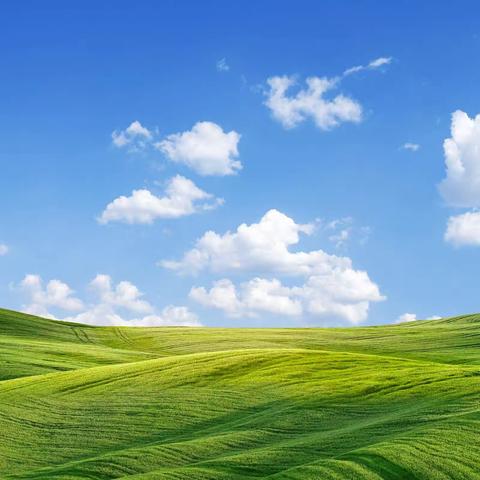 桂平寻旺二中与港南三中校际交流学习