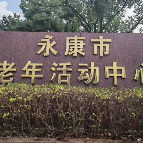 记录东城学校23书法班学习情况（之一）