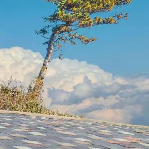 劳动最光荣，欢乐做家务2022级6班