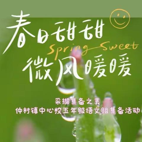 采撷集备之美——仲村镇中心校五年级语文组集备活动