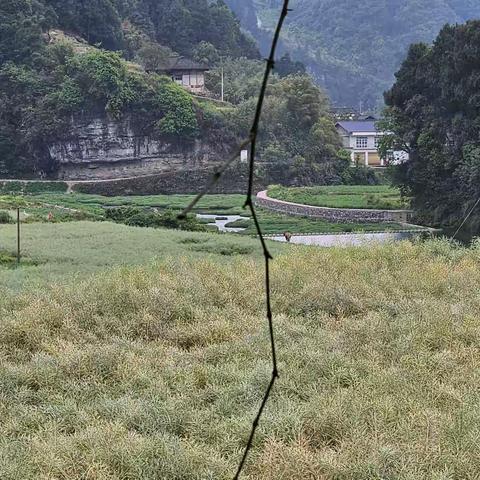 蝶恋花·晨曦