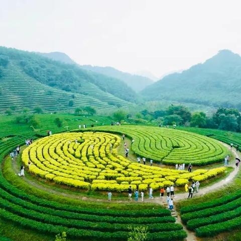 清远英德686方 3房6床 花园2个温泉泡池 ‍