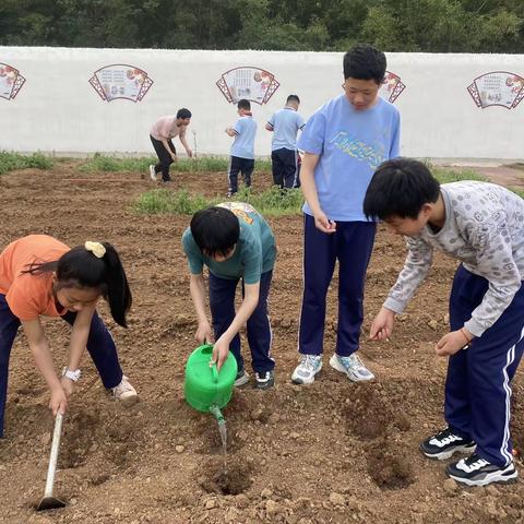 迎接收获，护理新芽———老庄镇中心小学学生种菜育苗活动