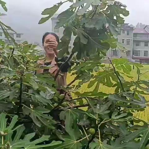 “绥”宁所愿，“雨”你共“猕”