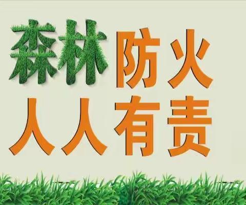 大新镇上南小学—森林防火致学生家长的公开信