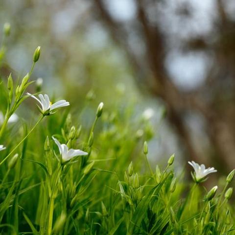 铭生物业4月工作简报