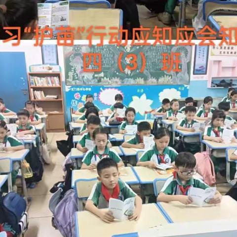 开学迎新季 “护苗”正当时——2023年秋季开学护苗活动