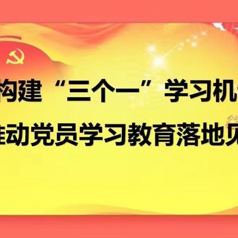 构建“三个一”学习机制 推动党员学习教育落地见效