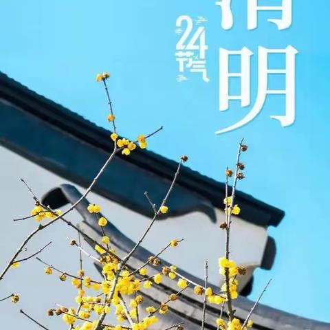 寿张镇小学北门校区——2023年清明节放假安全告知书