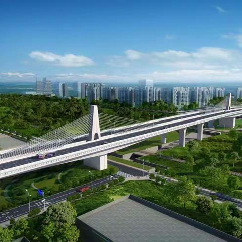 新祺周中医药科创城阳光大道工程项目部第九十周周报（2024.12.1-2024.12.7）