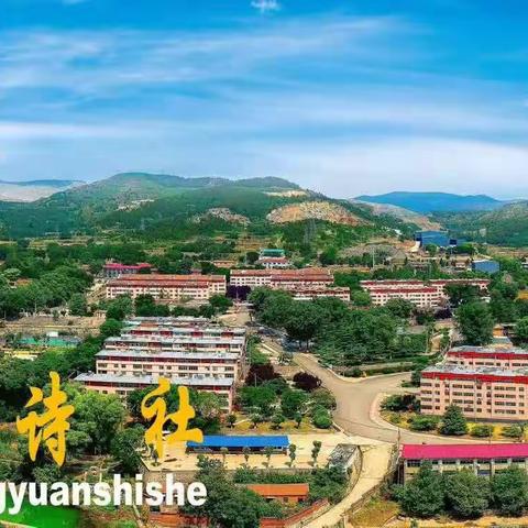 九九重阳节，浓浓东苑情 ——淄川区寨里镇东苑社区开展重阳节系列活动