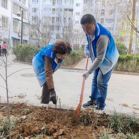 抓实堡垒赋能，“头雁领航”激活社区治理新活力