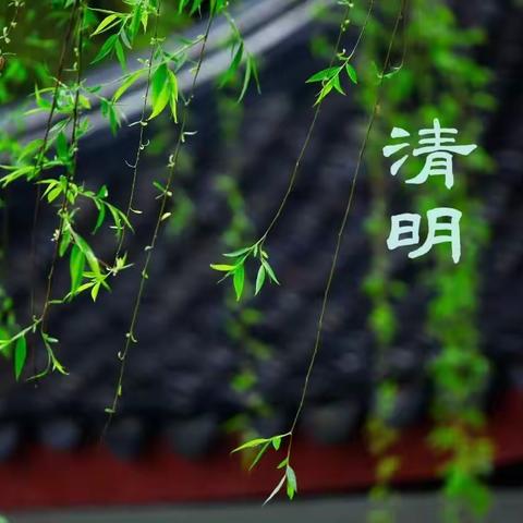 共同走进我们的传统节日·清明节
