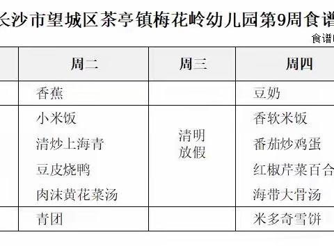 【食在梅幼】美食有约——茶亭镇梅花岭幼儿园第九周美食预告