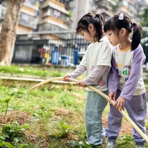 大三班种桑养蚕故事（副本）