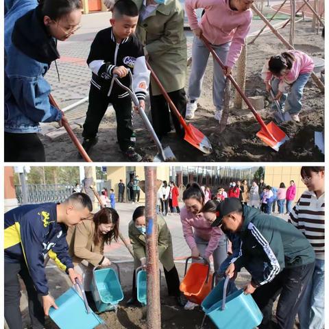 “劳动创造梦想，桃树孕育希望”— —锡林浩特市第十三小学劳动实践师生校园植树主题活动