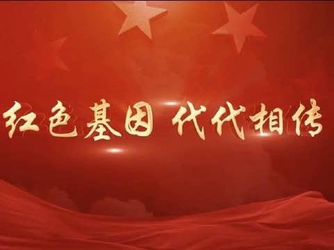 宝丰县为民路小学暑期社会实践活动——红色基因，代代相传。