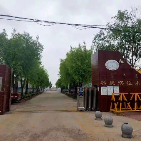 停课不停练，运动无极限！——乐亭县第二实验小学体育线上教学美篇