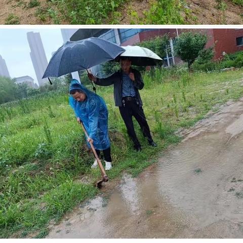 防汛未然，筑牢防线——东港实验学校儒风幼儿园防汛演练