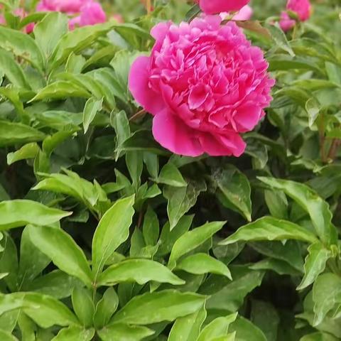 坚持不懈  同心而行——远航四班第十三周生活纪实