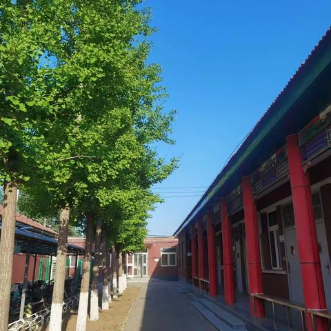 积极锻炼坚持不懈   一丝不苟书写青春——远航四班第十七周生活纪实