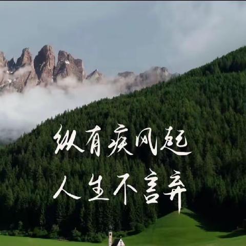 纵有疾风起，人生不言弃——王庄中学开展“挫折教育”主题系列活动