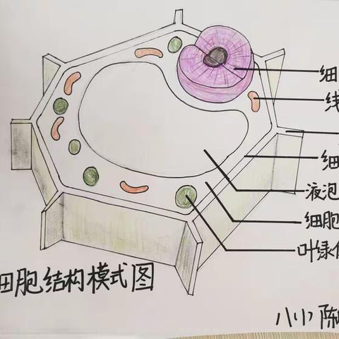 执智慧之笔        绘生命之魂