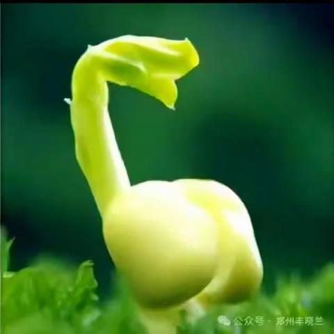 【颍川小语】✨童诗里的奇妙世界✨ ——颍川路学校三年级“写着玩儿”实践活动（九）