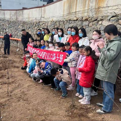 用行动为环境添绿