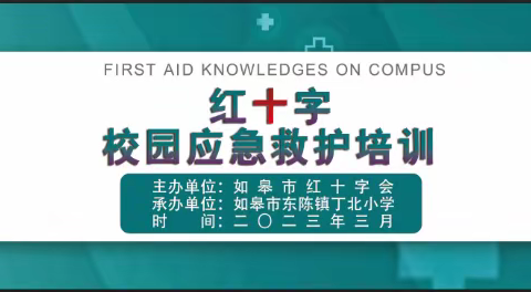 急救知识进校园  守护生命伴成长——如皋市红十字会讲师走进东陈镇丁北小学开展应急救护培训活动