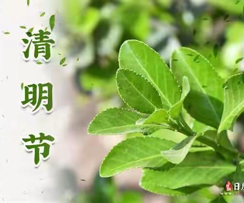 清明时节话清明——中五班清明节美篇