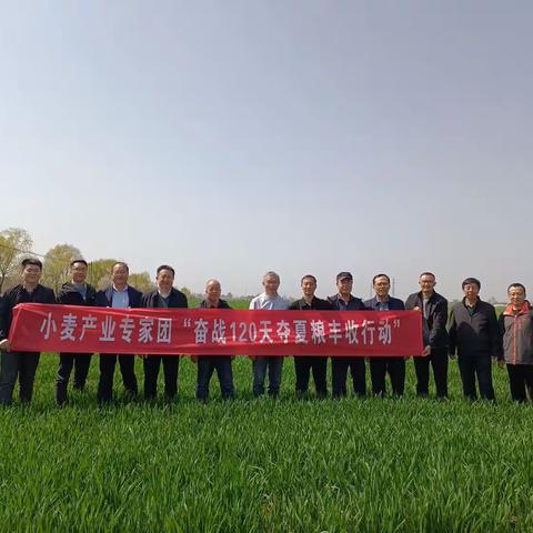 农业农村部专家组莅临凤翔调研指导夏粮生产工作