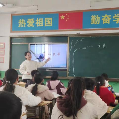 教之“语”，研以“文”一一鸦岭镇中心学校三年级语文集中教研活动