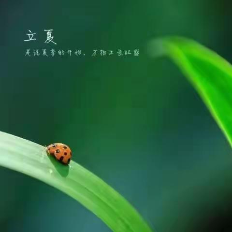 膳食营养的美篇