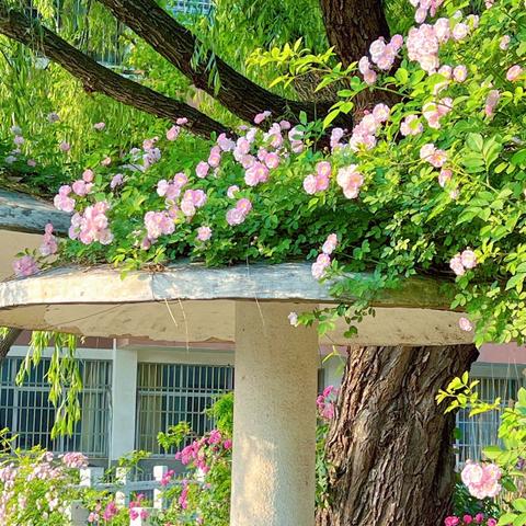 儿童画社团（荆丽敏）