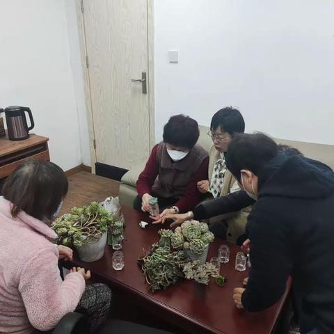 435社区“巧手匠心 快乐多肉”绿植DIY活动