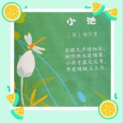 小班古诗阅读——《小池》