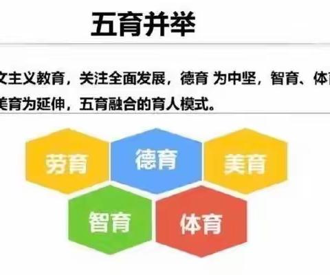 五育并举全力促进学生发展