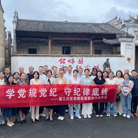 党建引领促交流——第三片区党建联盟活动在水南中心小学召开