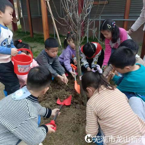 “种”在春天🌱，“植”得期待🌻