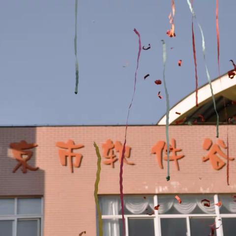 南京市软件谷幼儿园第十六届体育节活动——托小班年级组