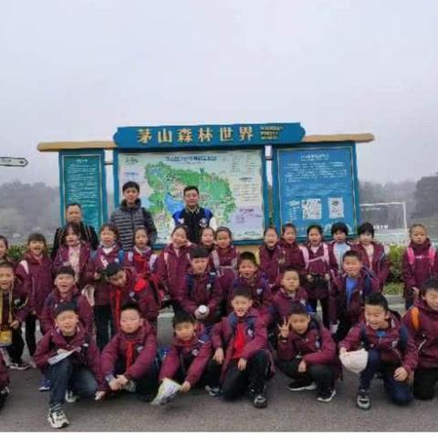 陈洋的成长手册二下