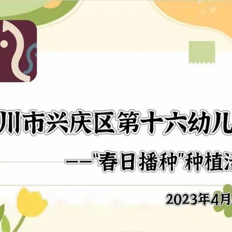 银川市兴庆区第十六幼儿园——“春日播种”活动