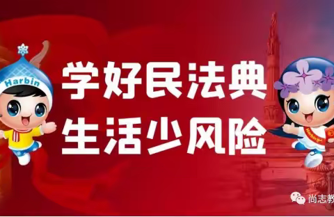 马延学校“美好生活•民法典相伴”民法典宣传活动