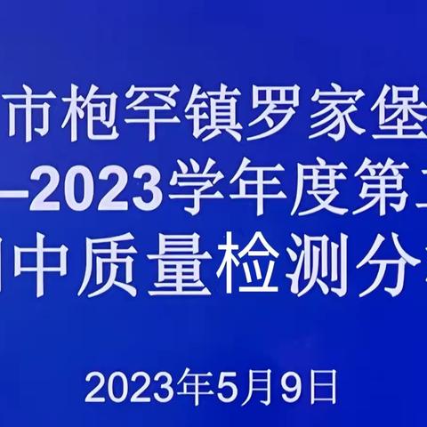 【枹罕学区·罗家堡小学】分析助成长 提质向未来——期中质量检测分析