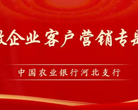 中国农业银行河北支行《中小微企业客户营销专题培训》