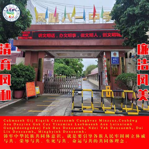 筑安全防线，防“溺”于未然——来宾市兴宾区凤凰八一中学防溺水安全教育活动